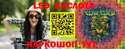 spice Краснознаменск