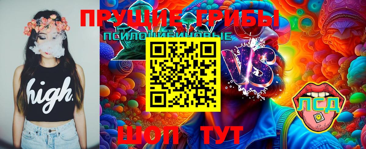 хочу наркоту  Псилоцибиновые грибы ЛСД  Вход с VPN  Иваново 